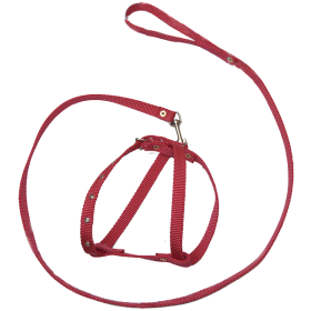 Дягилев комплект шлейка и поводок капроновые 