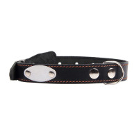 Наша ручная работа Ошейник 25 мм "Адресная бирка" 39-53см*25мм