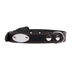 Наша ручная работа Ошейник 25 мм "Адресная бирка" 39-53см*25мм