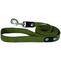 Поводок Стропа-брезент ширина 20 мм. с карабином