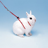 Ferplast Поводок NY RAB для кроликов