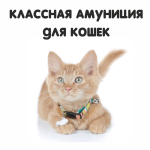 Ошейники и шлейки для кошек (18)