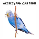 Аксессуары для птиц (2)