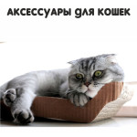 Аксессуары для кошек (130)