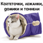 Когтеточки (46)