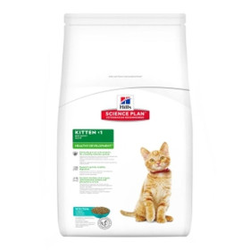 HILLS SP KITTEN сухой корм для котят тунец