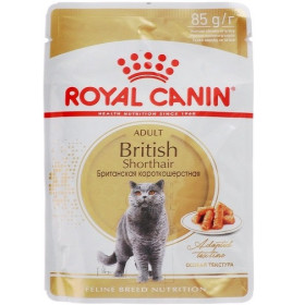 Royal canin british shorthair adult в соусе консервы для кошек британской породы