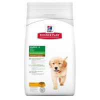 HILLS SP Puppy Large Breed сухой корм для щенков крупных пород, курица