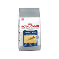 Royal Canin Energy 4300 корм для спортивных и рабочих собак при кратковременных интенсивных нагрузках