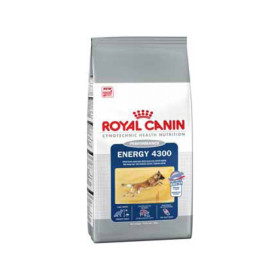 Royal Canin Energy 4300 корм для спортивных и рабочих собак при кратковременных интенсивных нагрузках