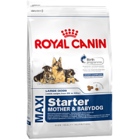 Royal Canin Maxi starter mother and babydog корм для щенков и для сук во время беременности и лактации
