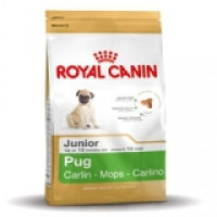 Royal Canin Pug Junior корм для щенков породы Мопс в возрасте до 10 месяцев